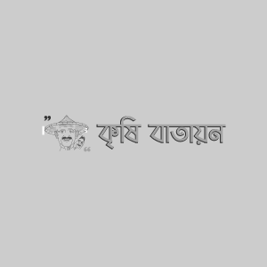 ভুট্টার কাটুই পোকা